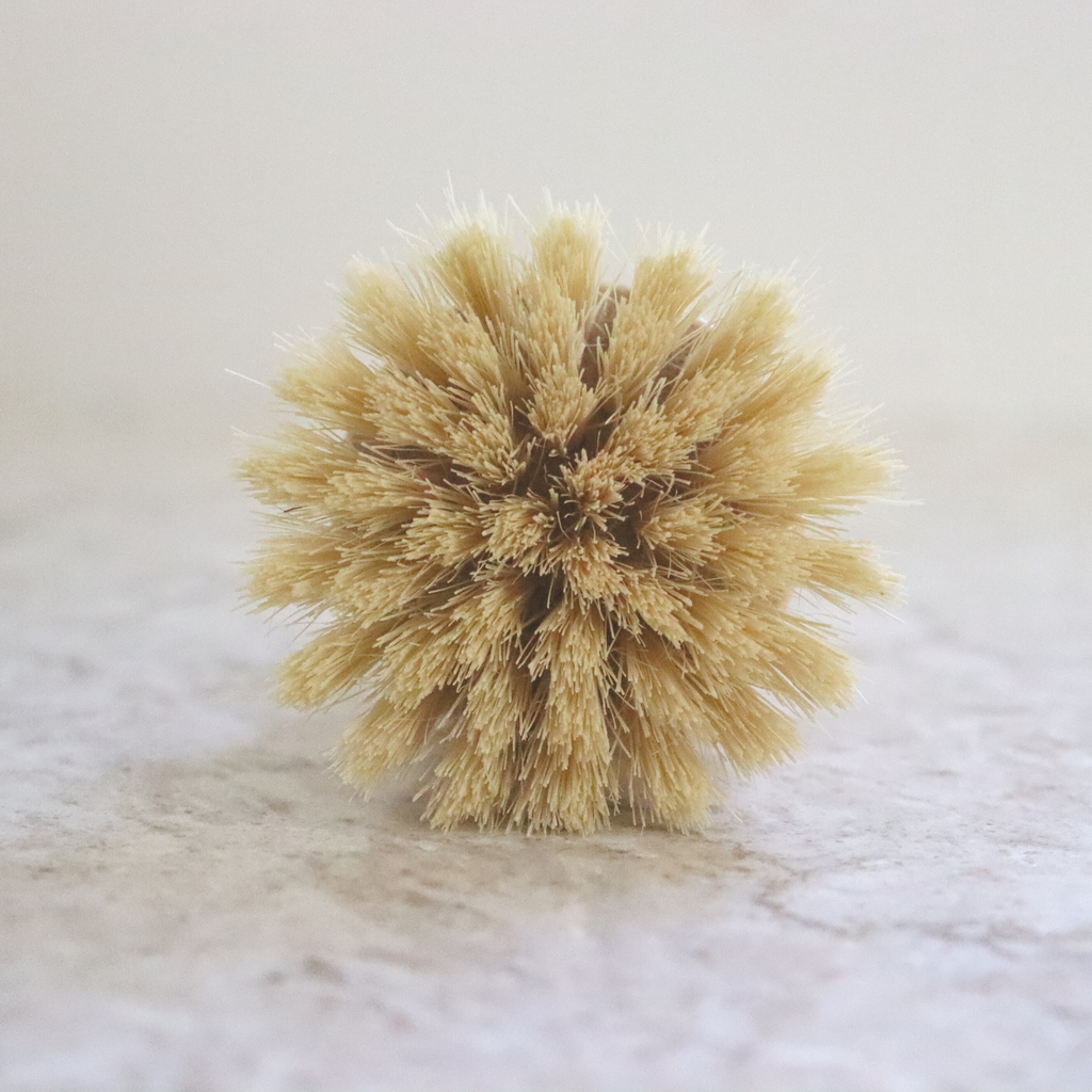 Dish Brush | Clean & Scour | Soap Scrubber: Flat Top - Quail Hill Soap Co