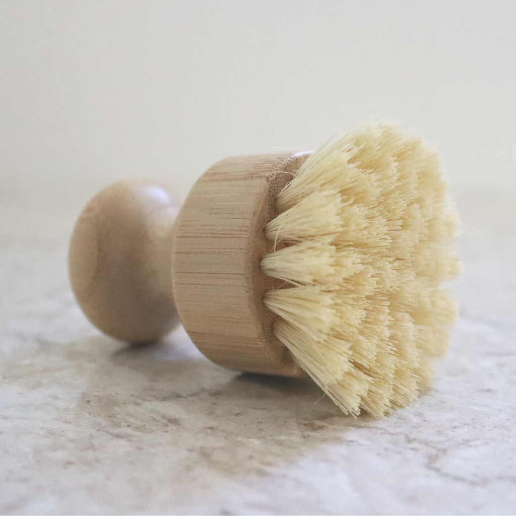 Dish Brush | Clean & Scour | Soap Scrubber: Flat Top - Quail Hill Soap Co