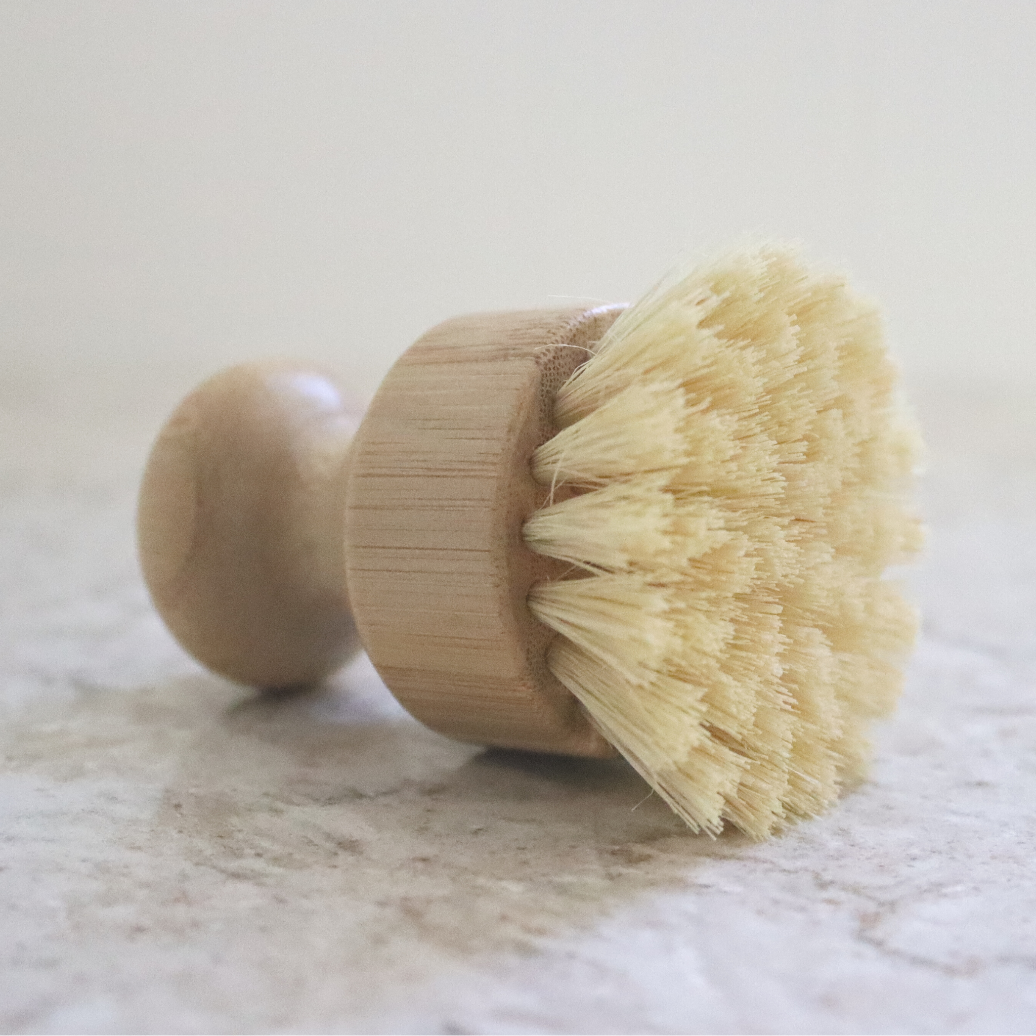 Dish Brush | Clean & Scour | Soap Scrubber: Flat Top - Quail Hill Soap Co