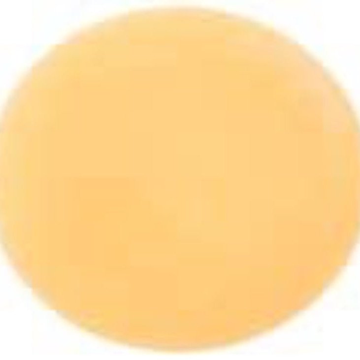 Conditioner Bar - Hair - Zero Waste - Quail Hill Soap Co
